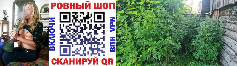 Магазины продажи наркотиков Валдай МАРИХУАНА Кокаин ГАШИШ АМФЕТАМИН Меф