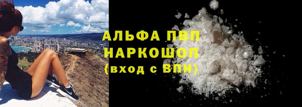 индика Армянск