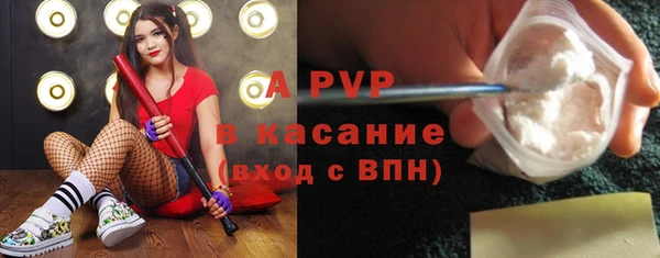 СК Арсеньев