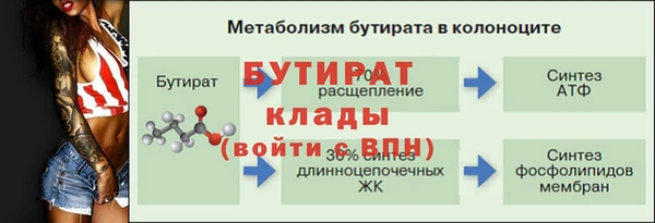 твердый Чита