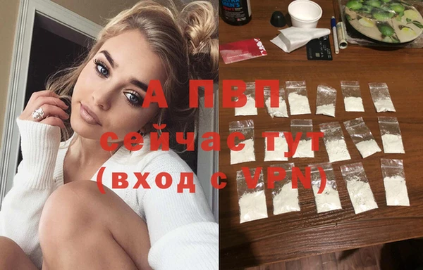 тгк Горняк