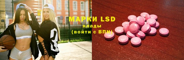 индика Армянск