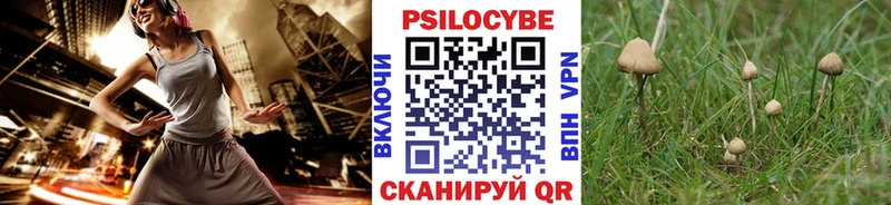 Галлюциногенные грибы Magic Shrooms  Валдай 